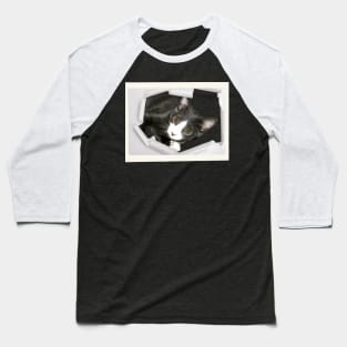 Handsome Gray Kitty Cat Baseball T-Shirt